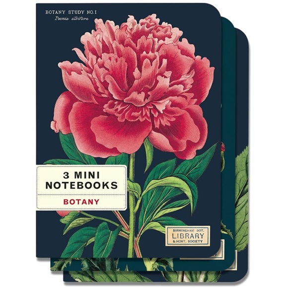 Cavallini | Office | Set Of 3 Cavallini Co Botany Study Floral ...